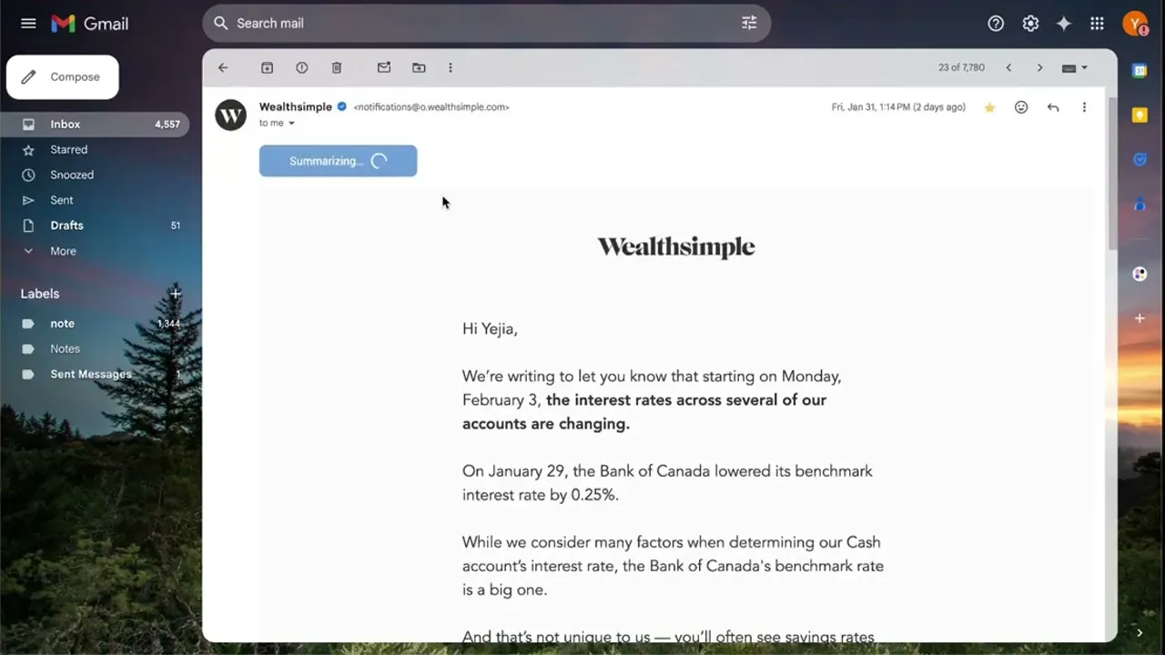 SimplyMail preview